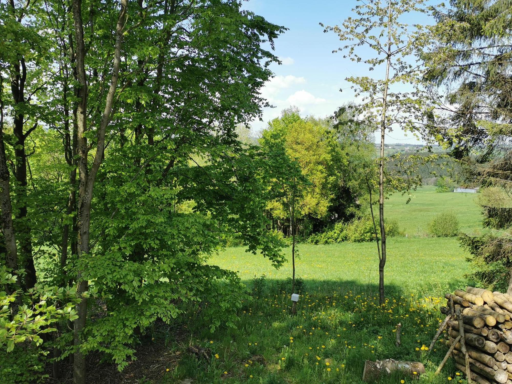 Apartment Auwer Hills Auw bei Prum